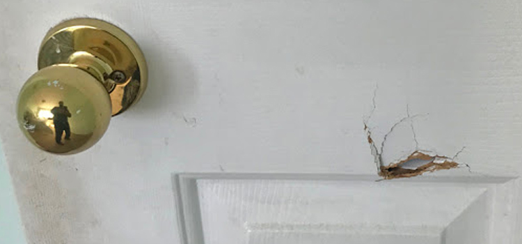 interior door hole repair Hercules